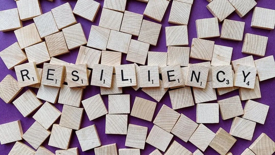 预制菜争议持续发酵，餐馆如何打消食客顾虑？