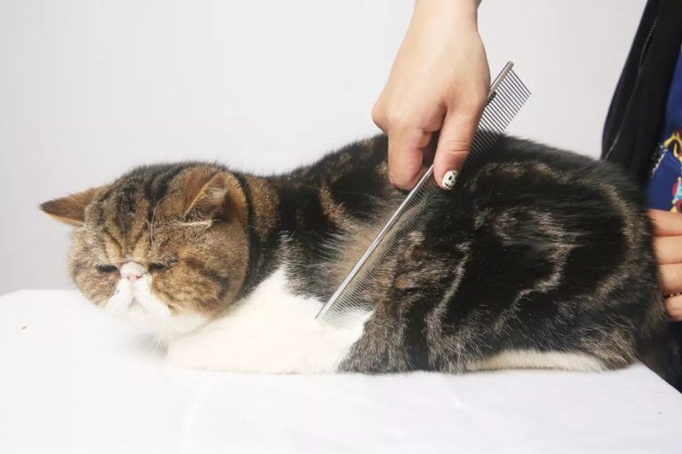 北京今年以来日均诞生企业640余家