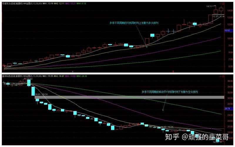 十五运会群众比赛气排球决赛开赛！吉林队队员：目标是冠军