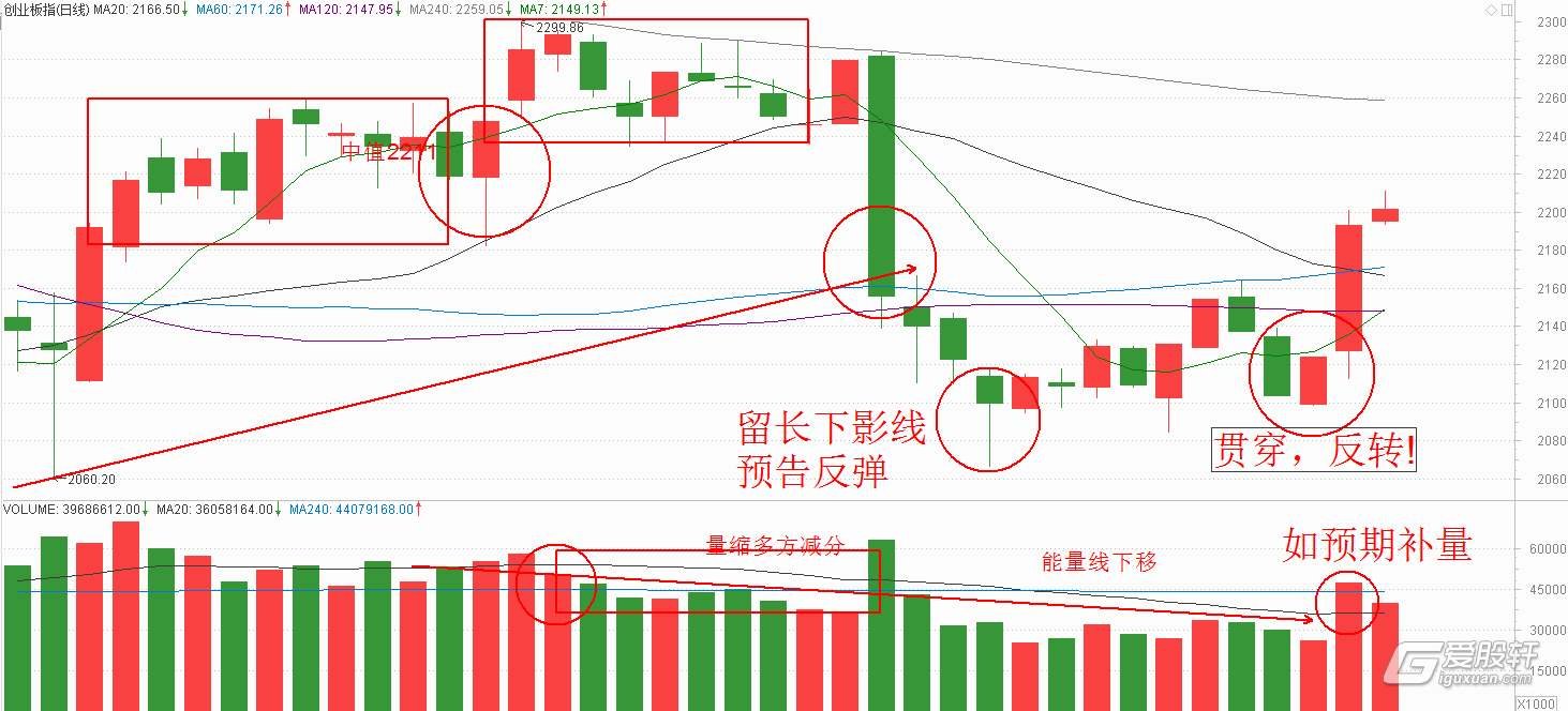 注意防护!未来一周,广东这些地区蚊子非常活跃
