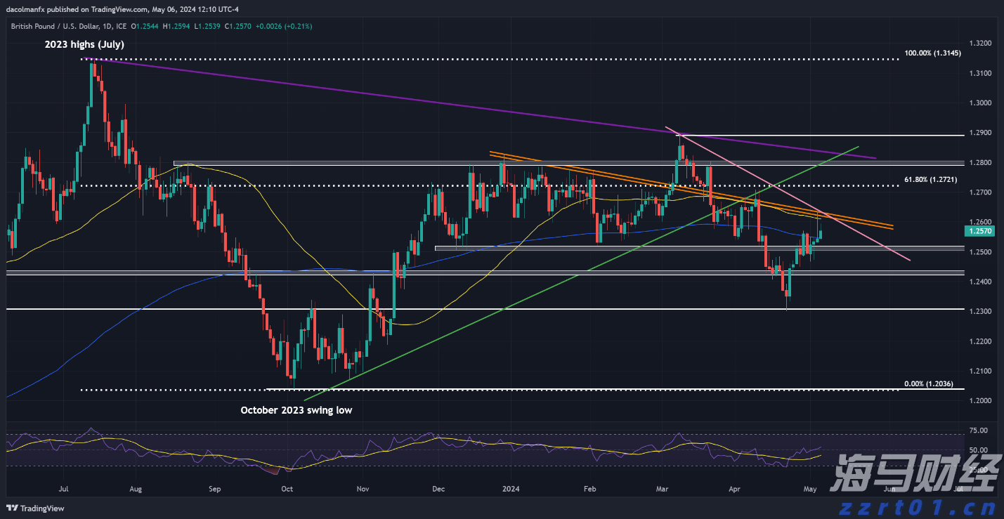 独立候选人纳夫罗茨基赢得波兰总统选举