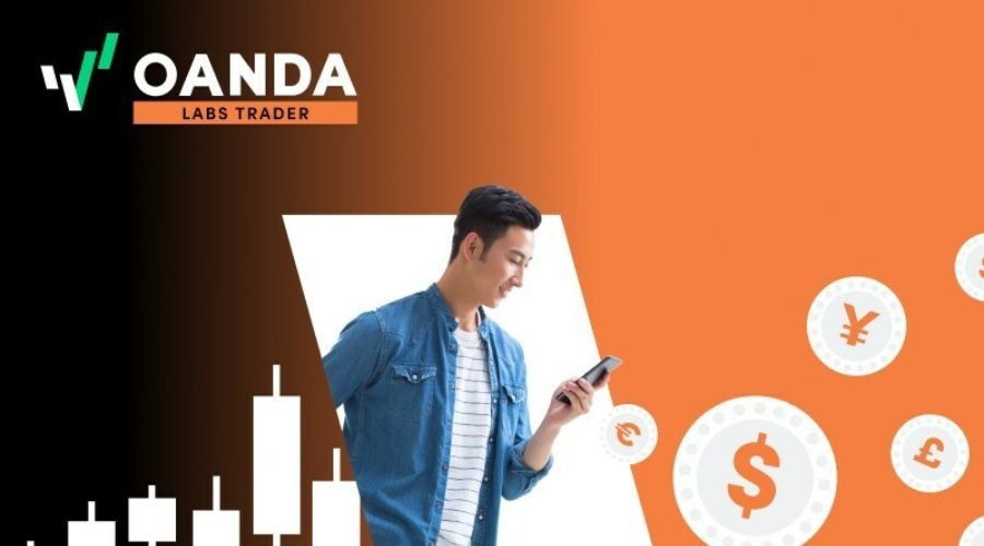 严厉打击！发现请立即举报！