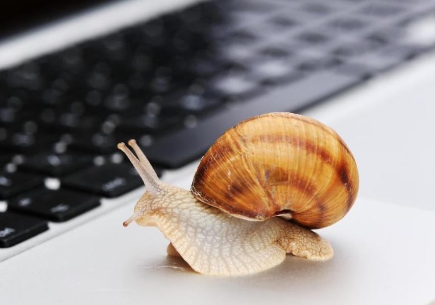 史经纬、郭丹将担任成都世运会开幕式中国体育代表团旗手