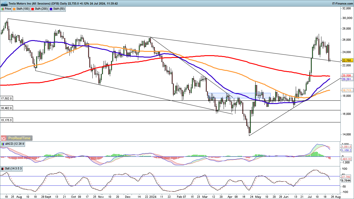 大圩镇:黄皮满枝头致富“黄金果 ”