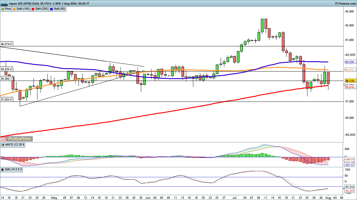 优服务强支撑  湛江市构建“近悦远来”人才生态